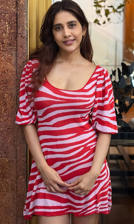 Nabha Natesh Captures Hearts with Graceful and Modern Fashion Look