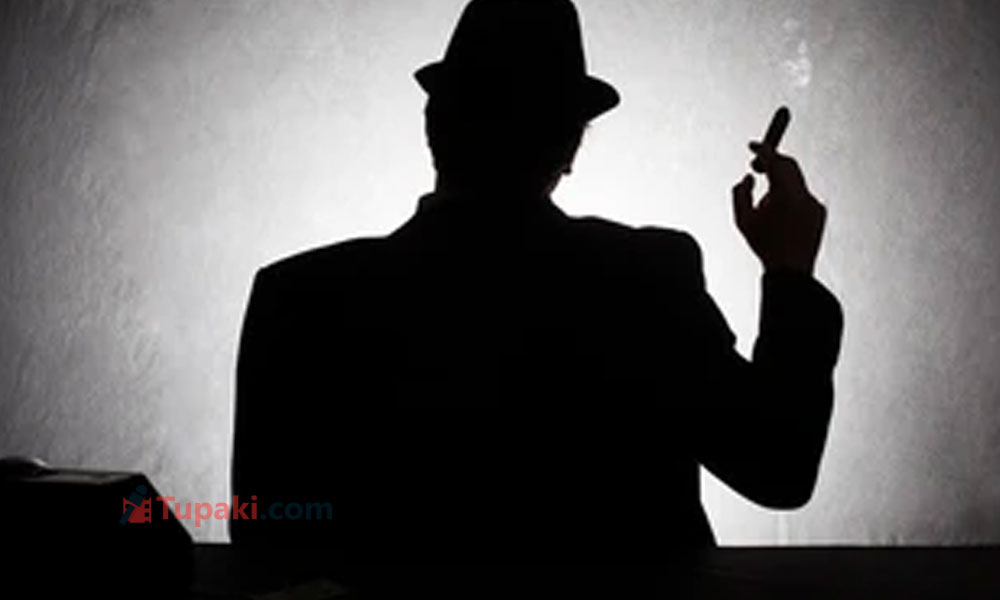టాలీవుడ్‌ను ఏలుతోన్న మాఫియా కథలు!