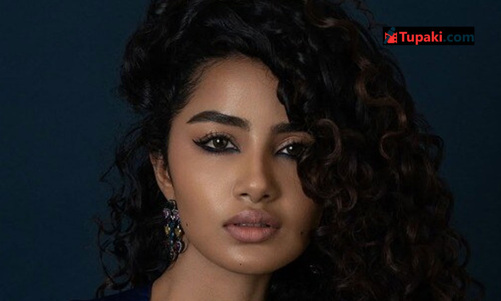 వరుస రిస్క్‌లు.. అనుపమ ప్లాన్ ఇదేనా?