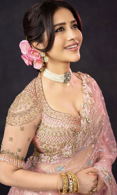 Nabha Natesh’s Traditional Glam Look Captivates Fans