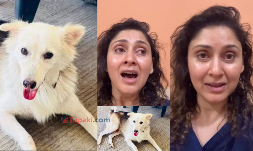 ఇలాంటి వాళ్లు సమాజానికే ప్రమాదం.. కుక్క హత్యపై మంజరి ఫడ్నిస్ ఫైర్!