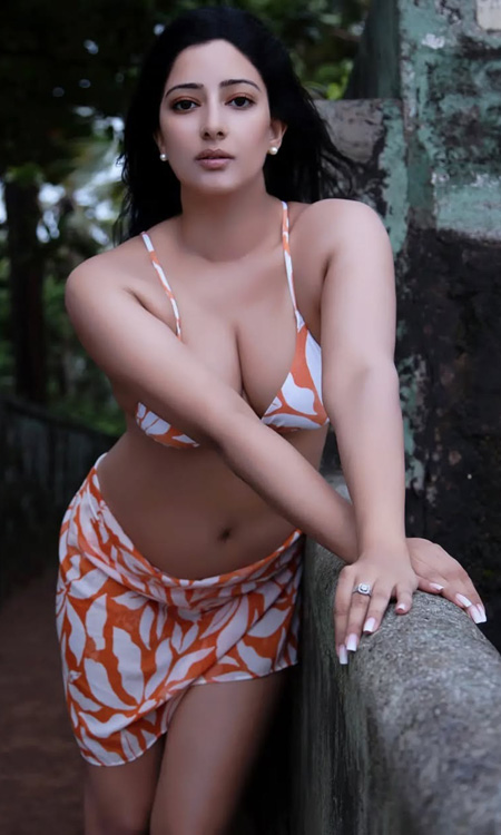 Niharica Raizada Stuns in Outdoor Glam Look, Fans Praise Her Elegance