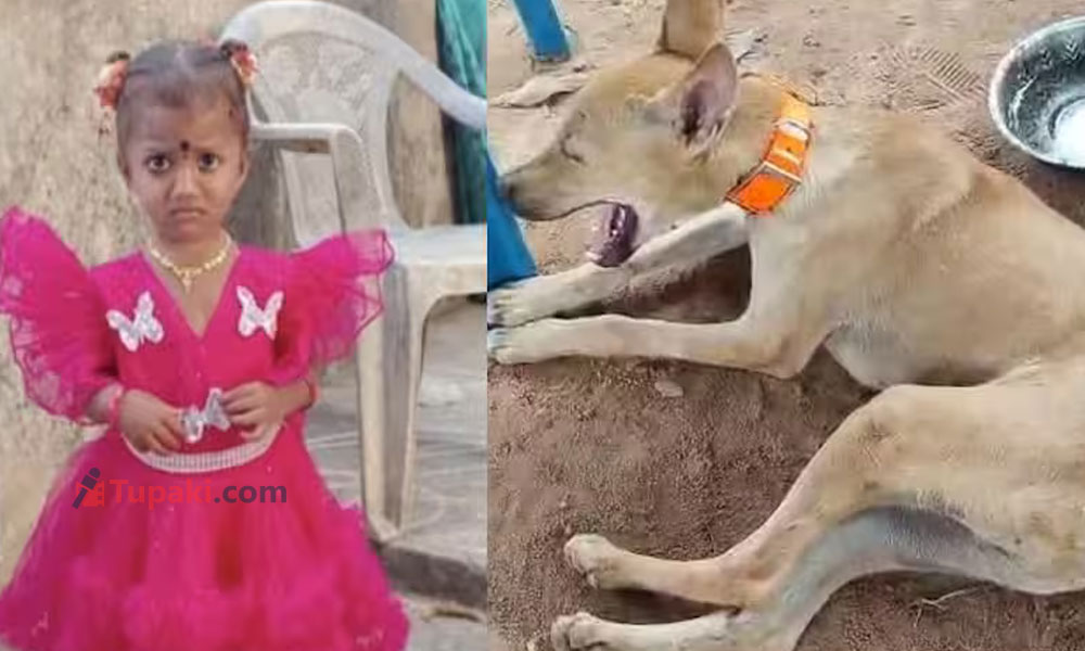 తుని చిన్నారి కేసు మిస్టరీ.. ఆ 15 నిమిషాల్లో ఏం జరిగింది?