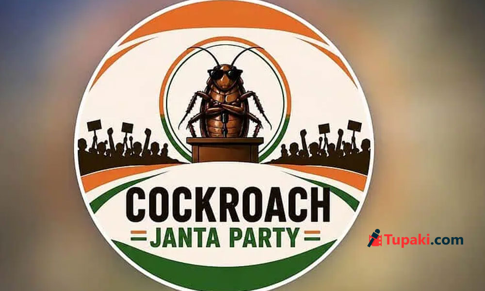 కాక్రోచ్కు మరింత బలం.. రీజనేంటి? కాక్రోచ్కు మరింత బలం.. రీజనేంటి?