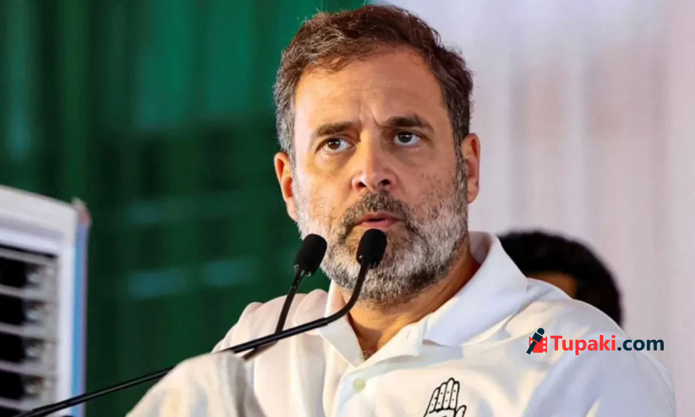 కాక్రోచ్-జనసేన ఎఫెక్ట్: రాహుల్కు అంత ఈజీకాదు..! కాక్రోచ్-జనసేన ఎఫెక్ట్: రాహుల్కు అంత ఈజీకాదు..!