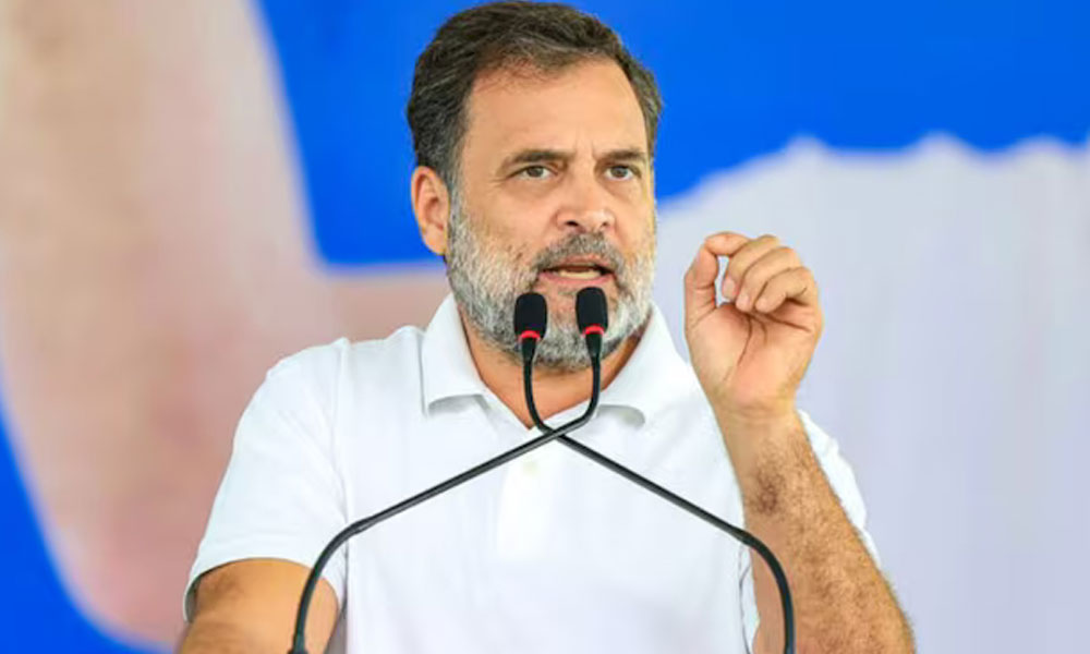 రాహుల్ అపరిపక్వ నేత....బీజేపీకే హెల్ప్ !