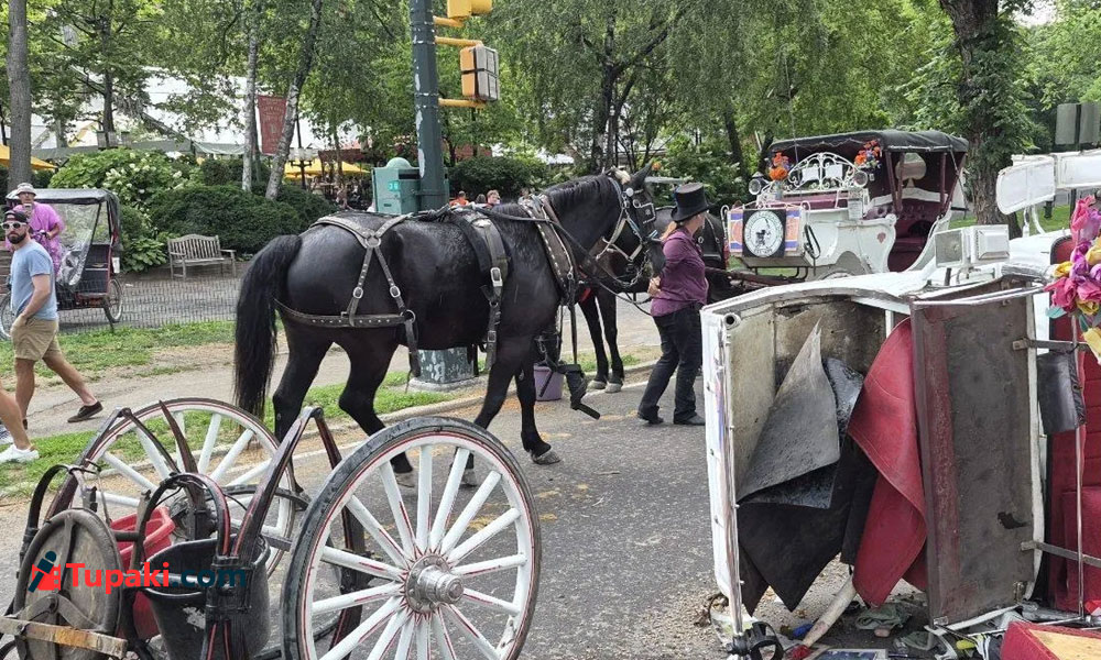 Shocking: Indian Tourist Dead In New York Fiasco!