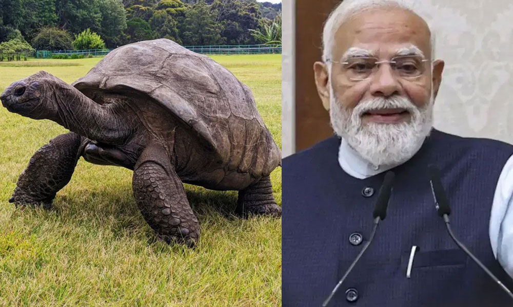 సేషెల్స్ టూర్.. ప్రపంచంలోనే అతిపెద్ద వయసున్న జంతువును కలవనున్న మోదీ