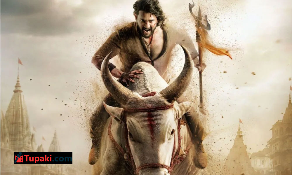 సేఫ్ మెసేజ్ జోన్ నుండి గ్లోబల్ సర్వైవల్ అడ్వెంచర్‌కు షిఫ్ట్!