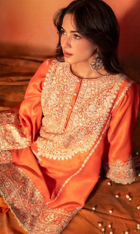 Sonal Chauhans Radiant Traditional Glow: From Jannat to Shera