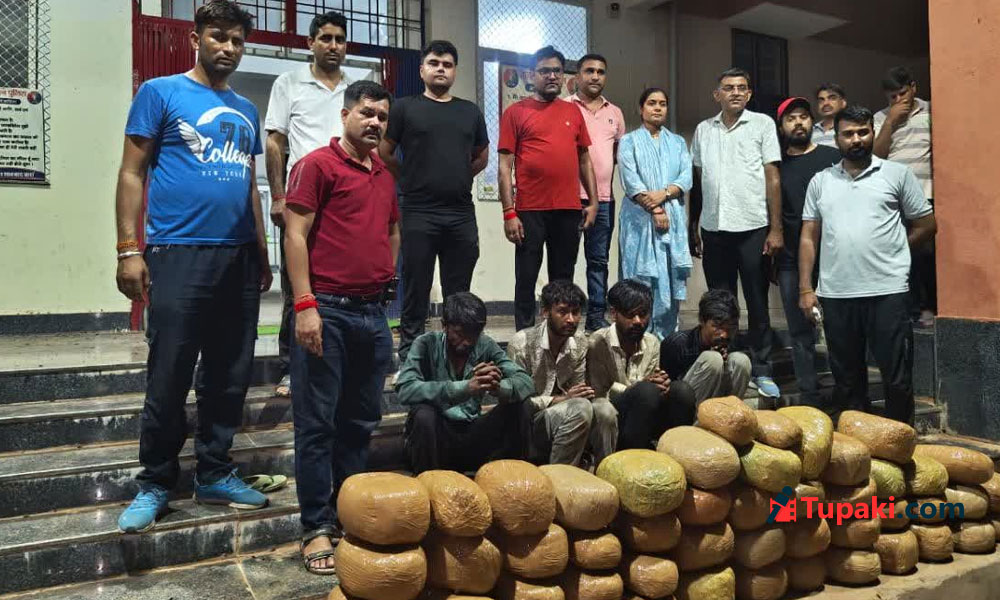 బొమ్మల చాటున గంజాయి దందా..!