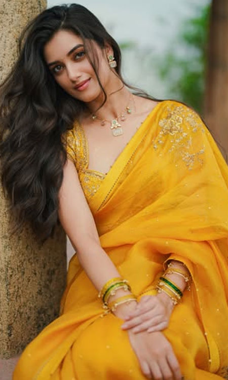 Bhagyashri Borse Defines Saree Elegance