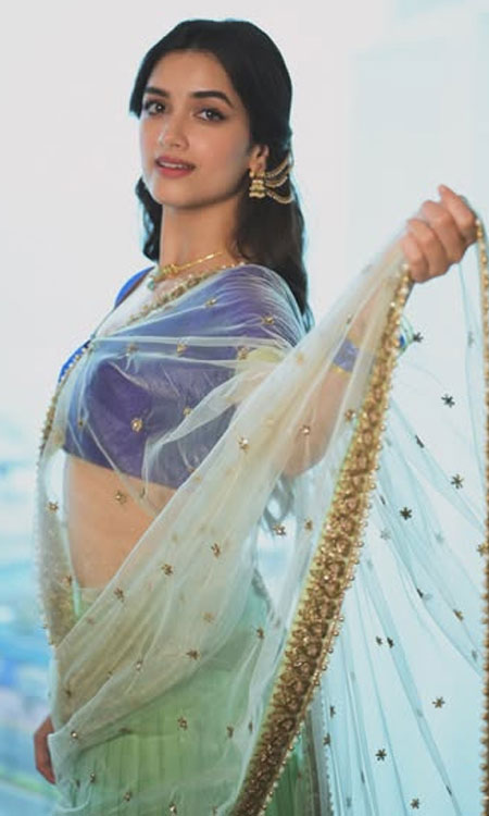 Bhagyashri Borse Lights Up the Frame in Ethereal Elegance
