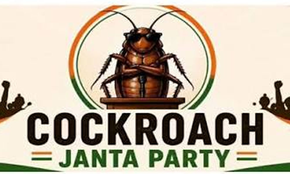 సోషల్ మీడియాలోనే హడావుడి.. క్షేత్రస్థాయిలో కనిపించని కాక్రోచ్ అభిమానం.. సోనమ్ వాంగ్ చుక్ పోరాటం వృథాయేనా?