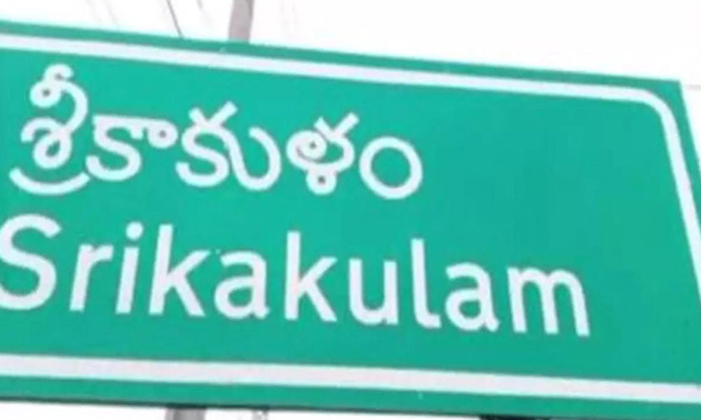 సిక్కోలు ఎంపీ  కోసం వైసీపీ సీనియర్ల చూపు ?