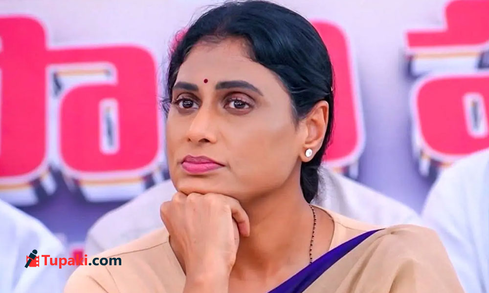 జగన్కు మీకు తేడా లేదా: చంద్రబాబుకు షర్మిల ప్రశ్న జగన్కు మీకు తేడా లేదా: చంద్రబాబుకు షర్మిల ప్రశ్న