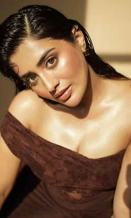 Rashi Singh Captivates in Elegant Earthy Tones