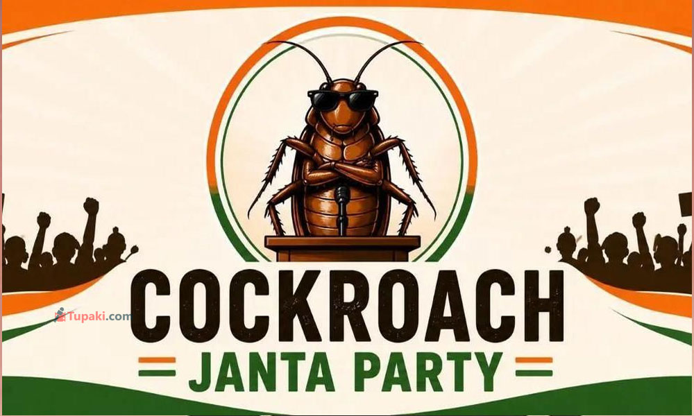 కాక్రోచ్...సక్సెస్ అయినట్లేనా ?