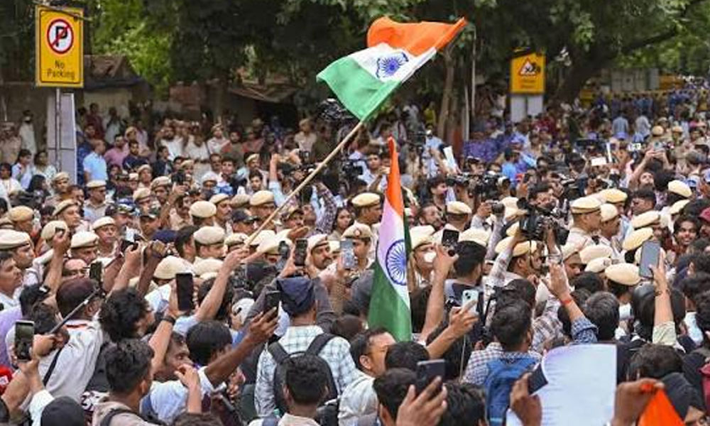 How Telugu States Reacting To Delhi Cockroach Movement? How Telugu States Reacting To Delhi Cockroach Movement?