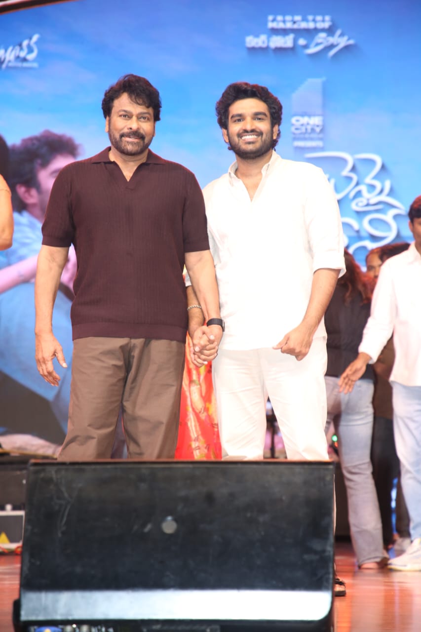 Mega Moments From Chennai Love Story Pre-Release Event