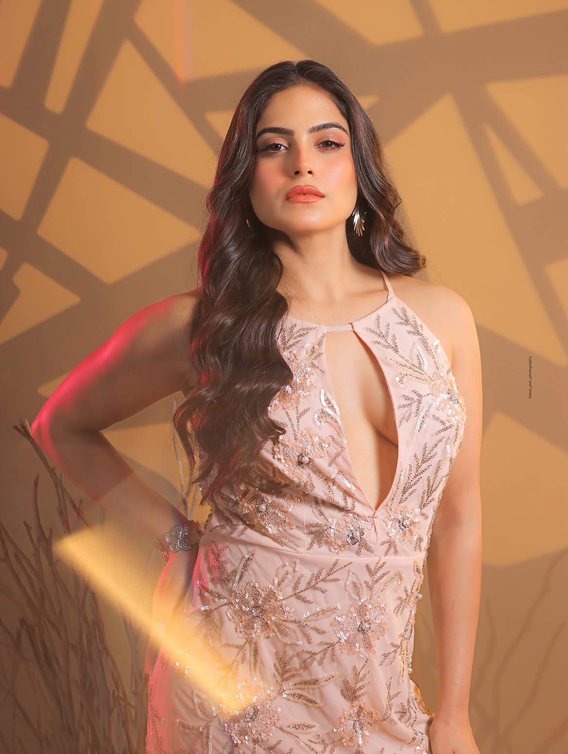 Naina Gangulys Golden Glow and Glamorous Look Steal the Spotlight