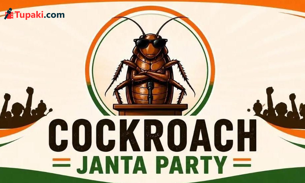 Cashing On Craze: Movie On Cockroach Party