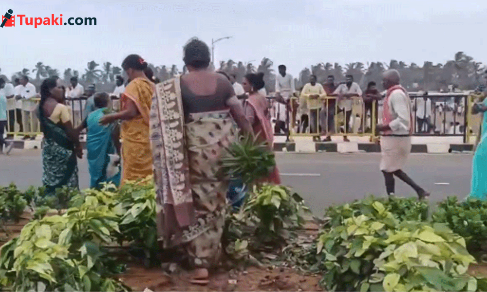 మొక్కే కదా అని వదిలేయలేదు.. భోగాపురంలో వైరల్ వీడియో