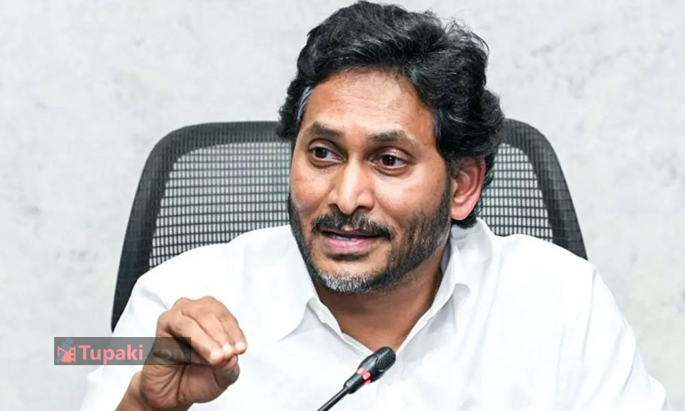 2029కి భారీ ప్లాన్.. నియోజకవర్గాలకు వైసీపీ స్పెషల్ టీమ్స్