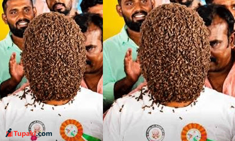 మొహం మీదే తేనెతుట్టె !