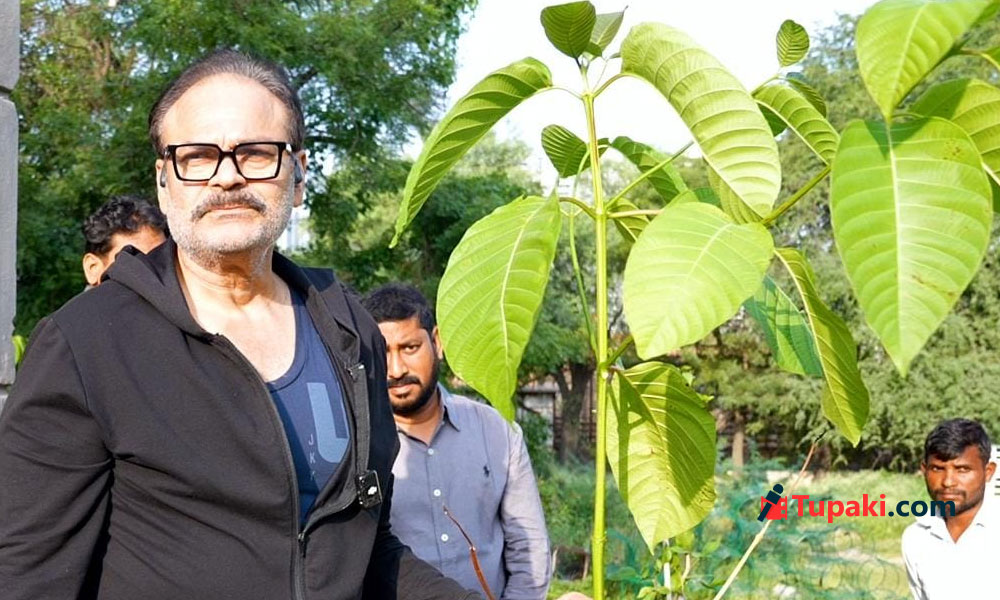 చిరంజీవి బర్త్‌డేకు నాగబాబు స్పెష‌ల్ గిఫ్ట్.. AP గ్రీన్ ఛైర్మన్‌గా పర్యావరణ సందేశం