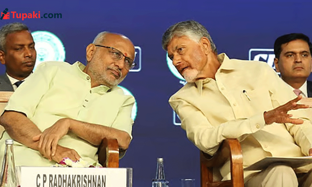 దేశంలోనే  తొలి పాప్‌కార్న్ హైబ్రిడ్ విత్తనం.... ఏపీలో ఆవిష్కరణ !