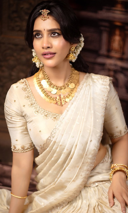 Nabha Nateshs Gorgeous Onam Look Blends Tradition and Glamour