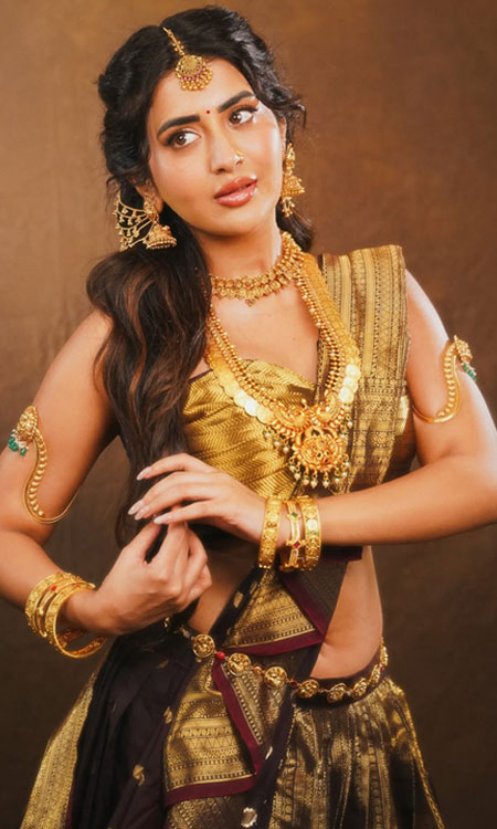 Rashi Singhs Royal Traditional Look Sets Major Glamour Goals