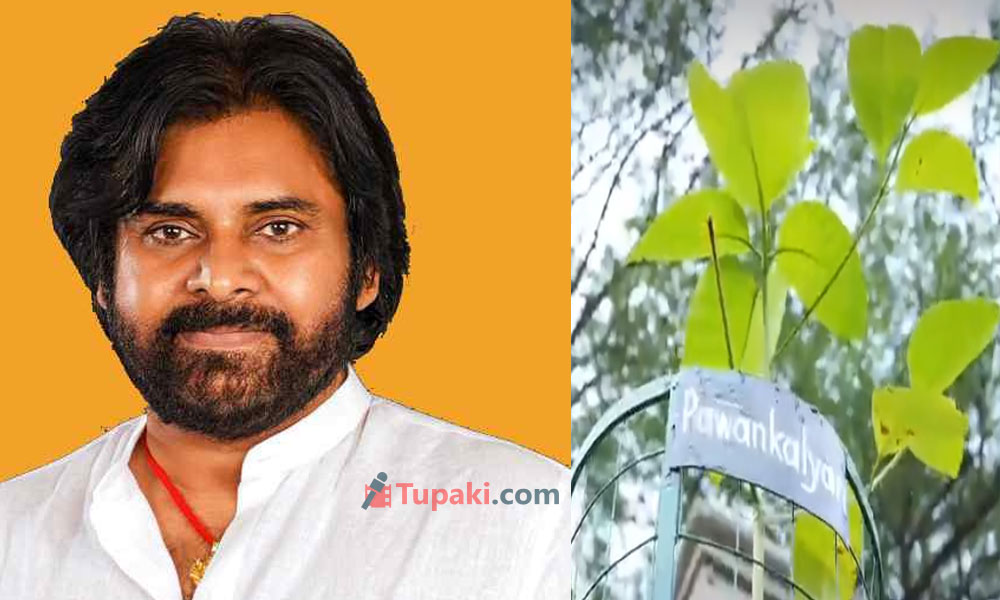ప‌వ‌న్ పేరుతో మారేడు.. కాన్సెప్టు హిట్‌!