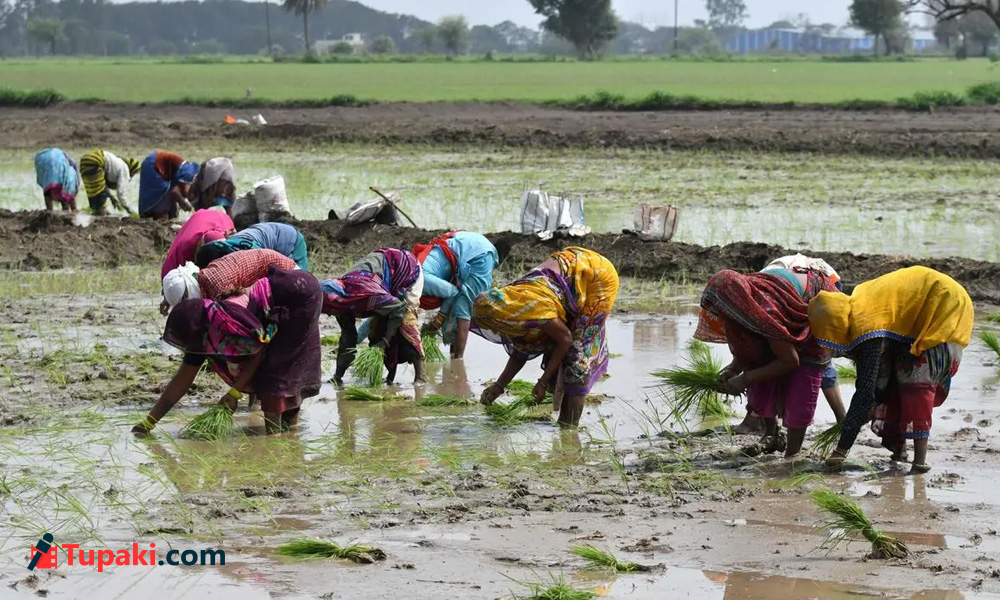 వరుణుడు ఫేస్ టర్నింగ్ ....అంతే సంగతులు !