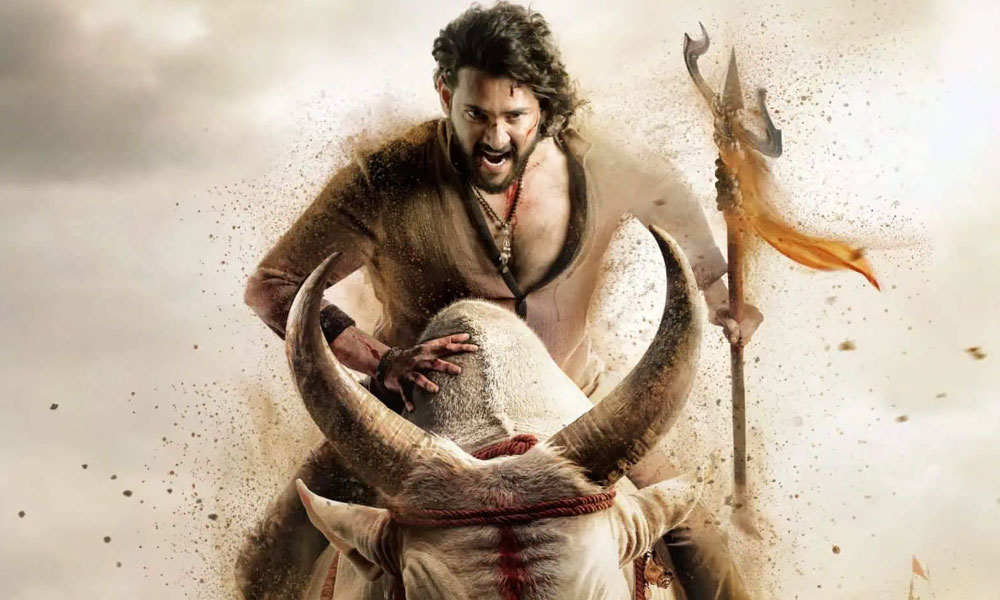 Varanasi Bull Fight Is Finally Happening
