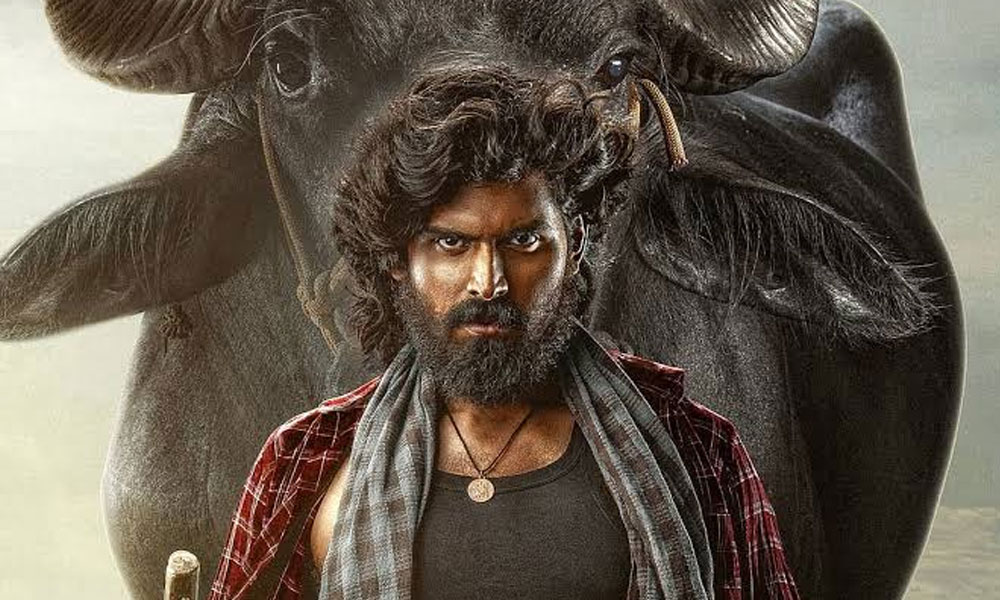 మాస్ రాజా బాడీలాంగ్వేజ్ కనిపిస్తోందయ్యో బుల్లి భూపతిరాజా!