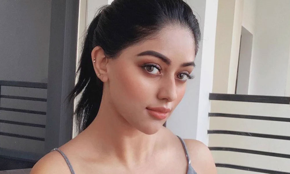 అను ఇమ్మాన్యుయేల్ చికాగో వెళ్లిపోయిందా?