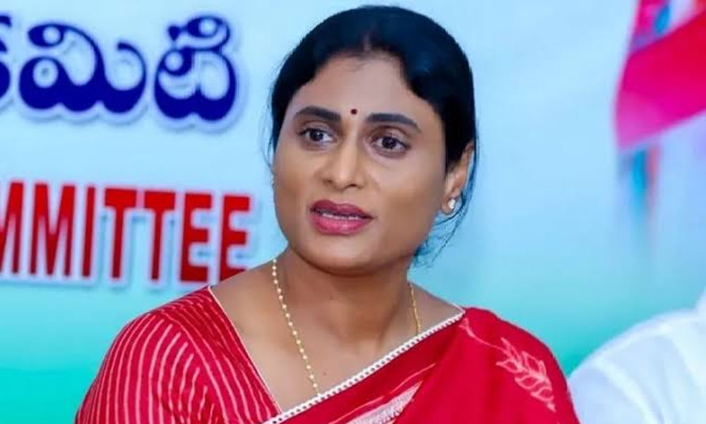 గెలుపు భారాన్ని పెద్దల మీద పెట్టిన షర్మిల !