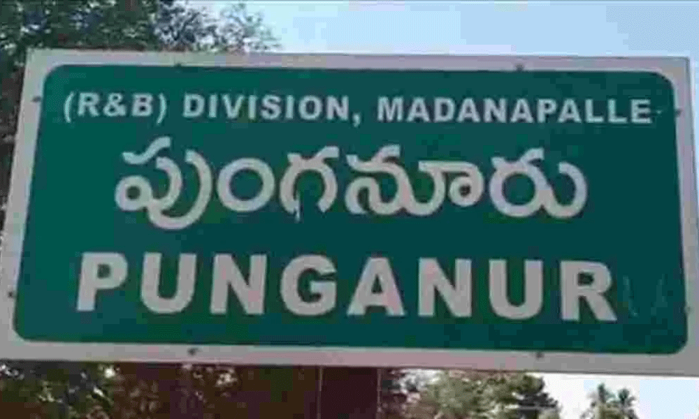 త‌ప్పుకొన్న చోట త‌లెత్తుకుని.. పుంగ‌నూరు టీడీపీ ప‌వ‌ర్‌ఫుల్‌..?