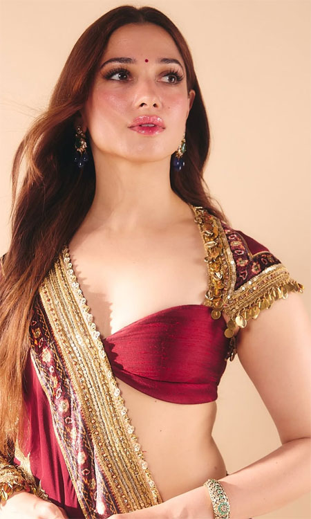 Tamannaah Bhatia’s Enchanting Desi Look
