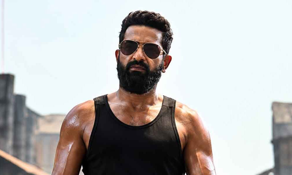 NTR Fans, Patience Please!