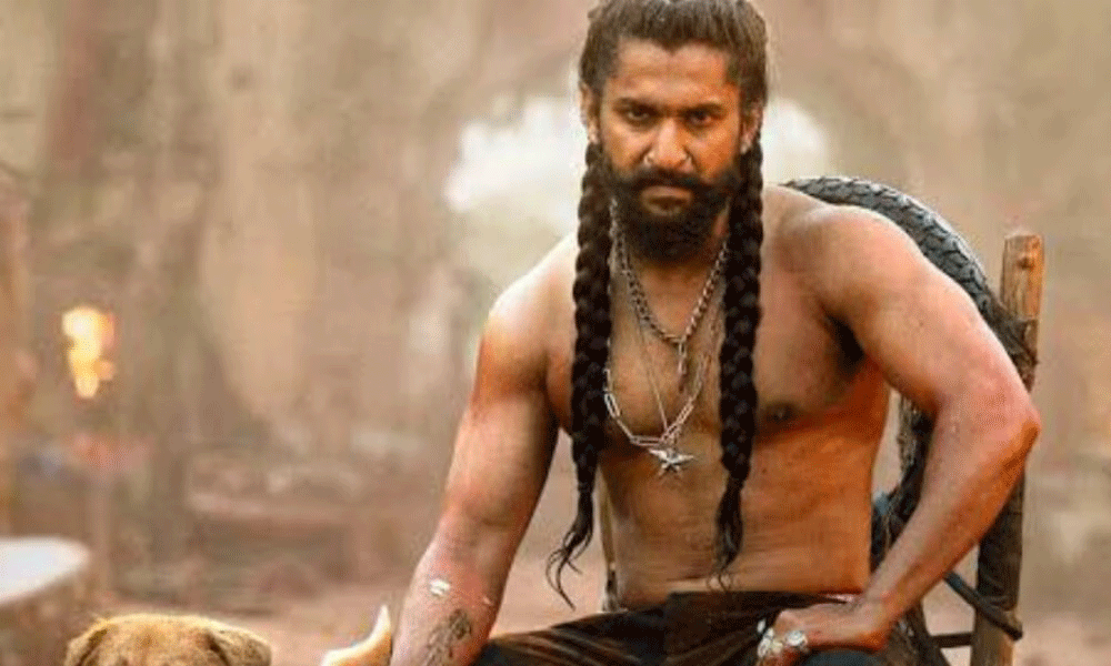 Is Nani Still Struggling Outside Telugu States?