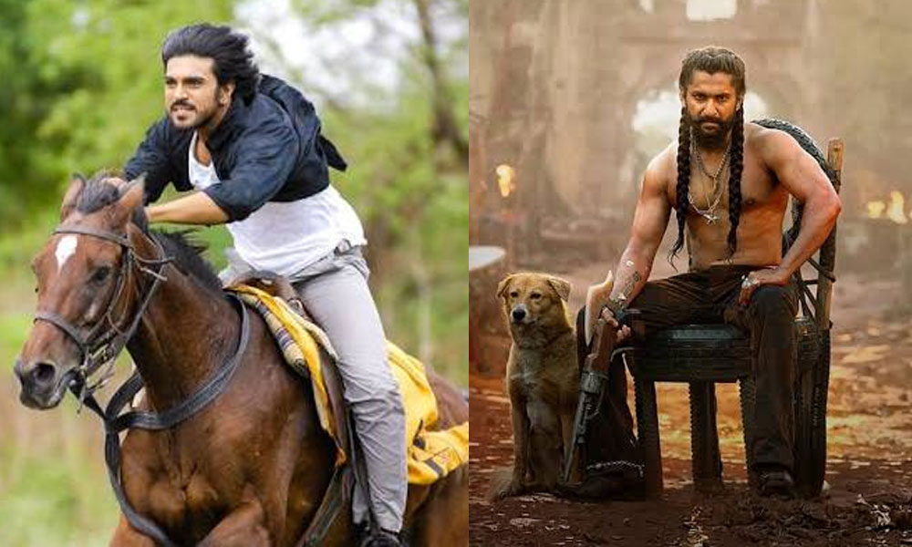 మగధీర గుర్రం.. ది ప్యారడైజ్ కుక్క
