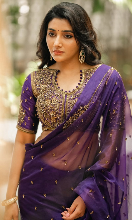Mirnaa Stuns in Purple Saree With Regal Traditional Look