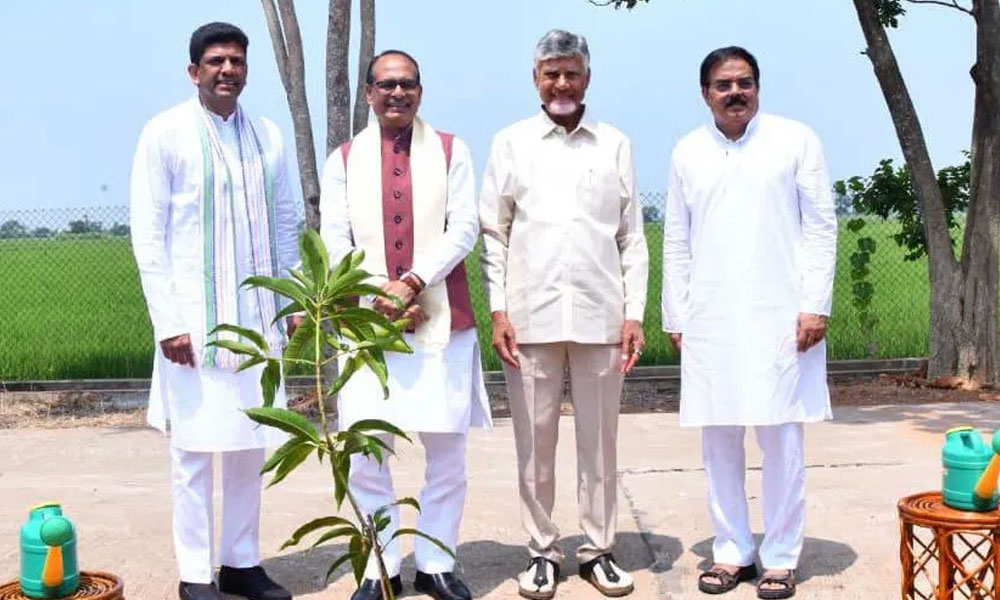 బాబుకు మొదట గుర్తొచ్చె మంత్రి ఆయనేనట !