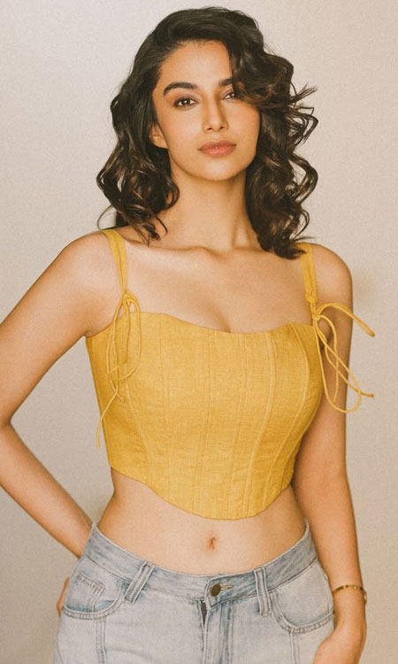 Meenakshi Chaudhary Chic Corset-Style Crop Top