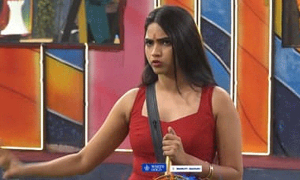 Bigg Boss Telugu 10: షాలిని ఎలిమినేషన్ లో ట్విస్ట్, రోహిత్‌కు షాక్!