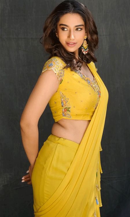 Meenakshi Chaudhary Flaunts Traditional Elegance
