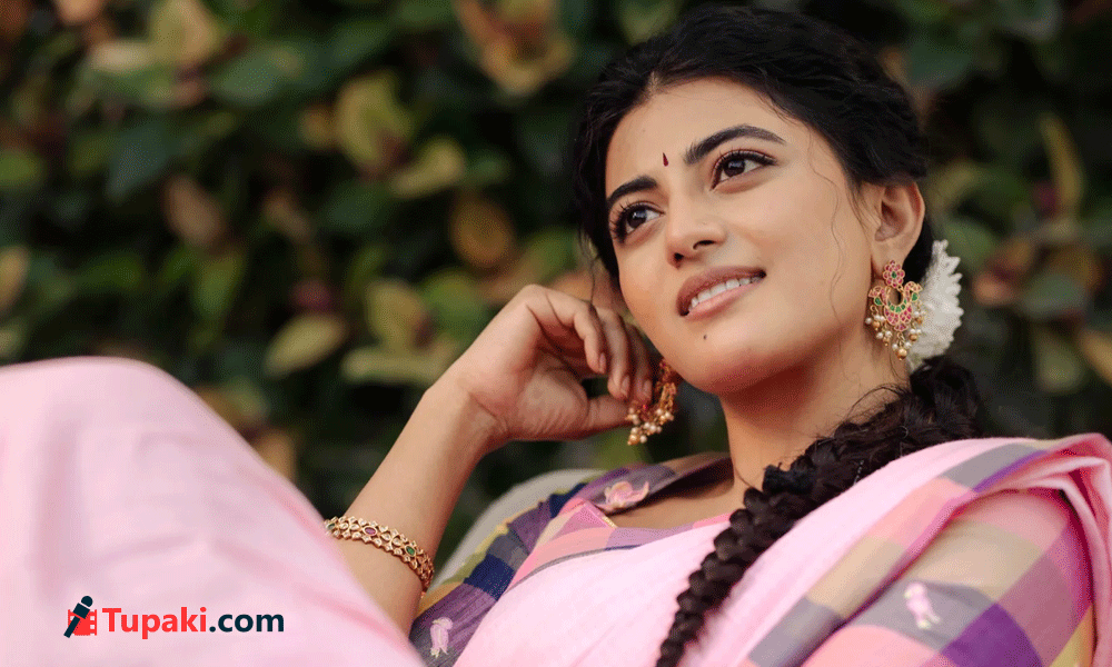 నటన బాగున్నా.. ఆనందికి గుర్తింపు కరువు?